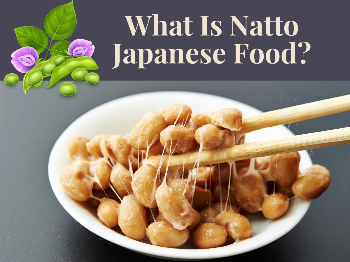 What Is Natto Japanese Food
