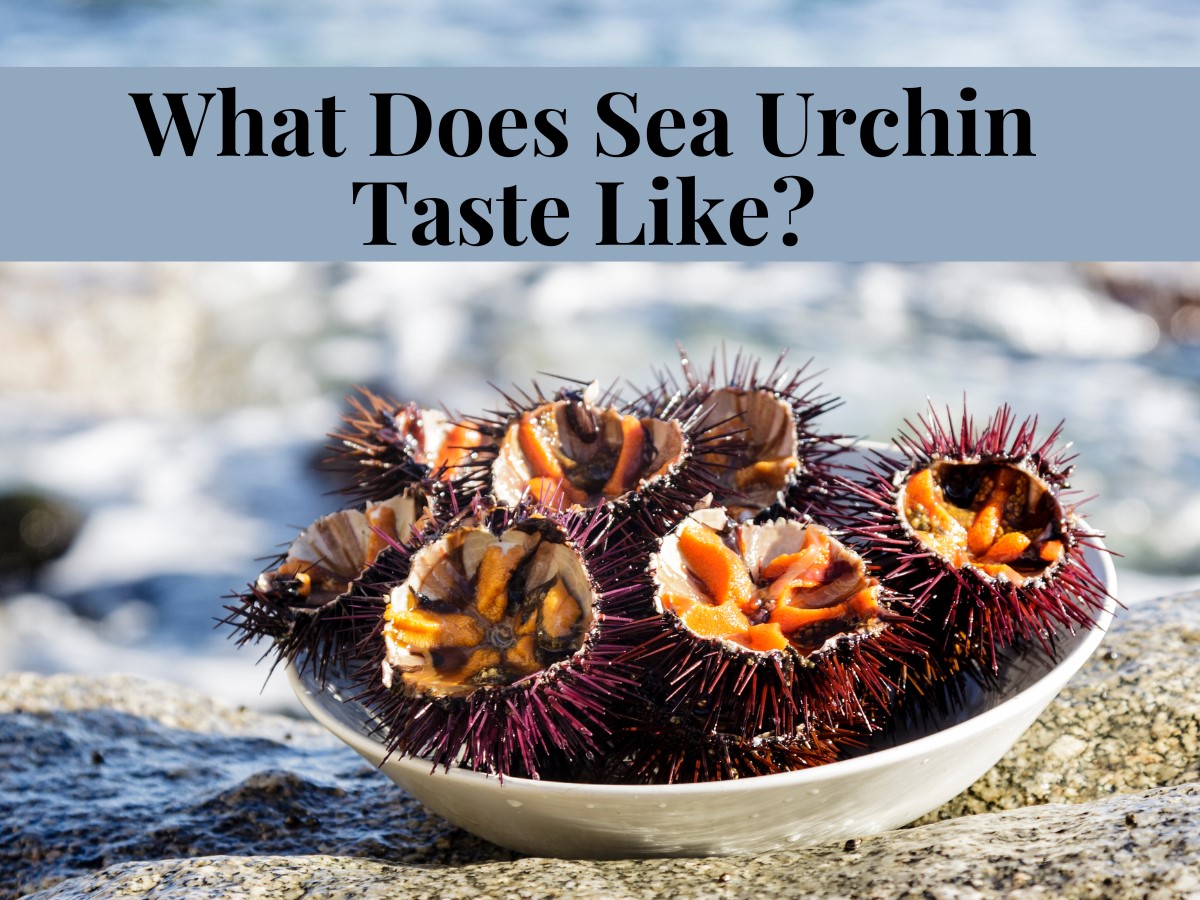 What Does Sea Urchin Taste Like